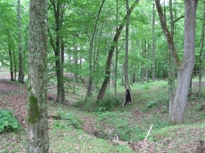The Ravine image. Click for full size.