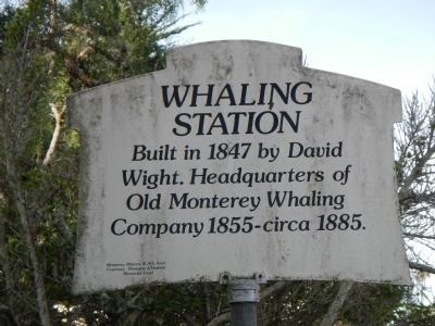 Whaling Station Marker image. Click for full size.