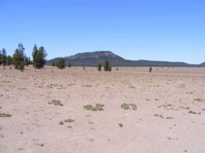 Pumice Desert. Click for full size. Pumice Desert image. Click for full size.