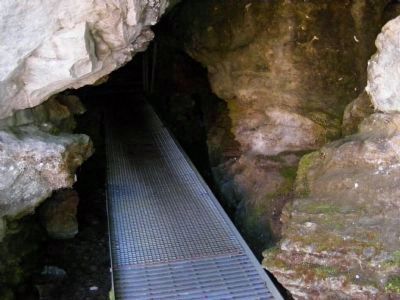 Cave Entrance. Click for full size. Cave Entrance image. Click for full size.