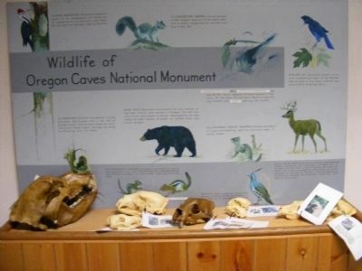 Display at the Visitor's Center. Click for full size. Display at the Visitor's Center image. Click for full size.
