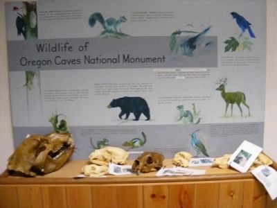 Display at the Visitor's Center image. Click for full size.
