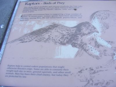 Raptors-Birds of Prey Marker. Click for full size. Raptors-Birds of Prey Marker image. Click for full size.