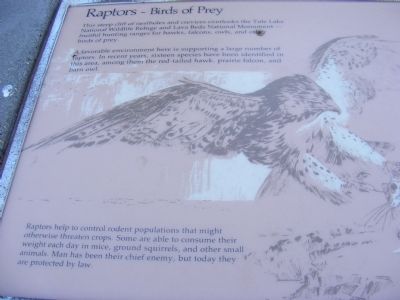 Raptors-Birds of Prey Marker image. Click for full size.