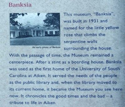 Banksia image. Click for full size.