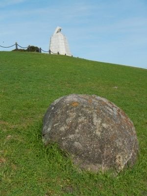 Rain Rock from the Sloat Monument image. Click for full size.