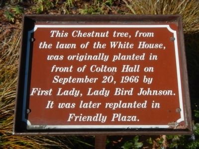 Chestnut Tree Marker image. Click for full size.