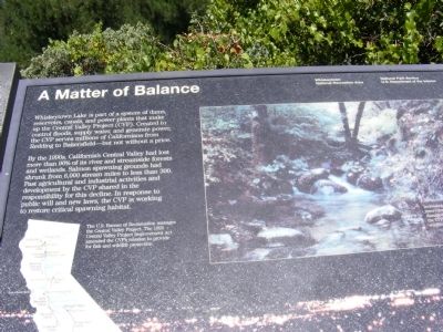A Matter of Balance Marker. Click for full size. A Matter of Balance Marker image. Click for full size.
