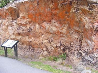 The Rock Plants Marker. Click for full size. The Rock Plants Marker image. Click for full size.