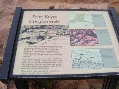 Point Reyes Conglomerate Marker image. Click for full size.