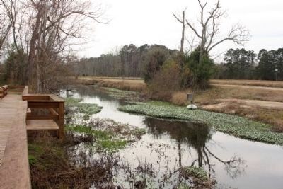 Turkey Creek. Click for full size. Turkey Creek image. Click for full size.