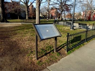 Missing "Neighborhood Reborn" marker image. Click for full size.