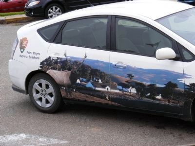 Car Painted with Point Reyes National Seashore Scene image. Click for full size.