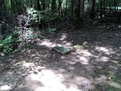 Marker in the Great Smokies image. Click for full size.