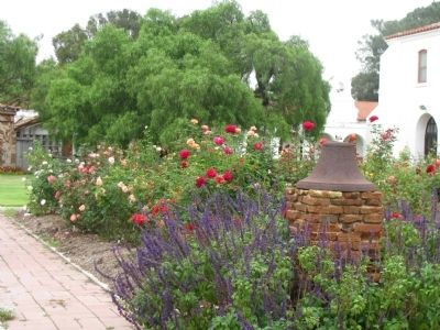 Mission San Lus Rey Courtyard Gardens & Ancient Pepper Tree image. Click for full size.