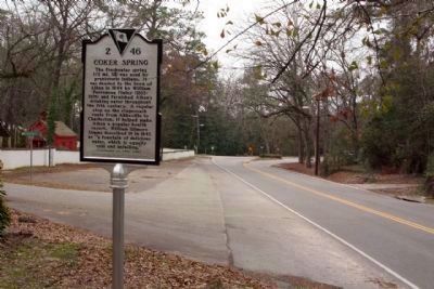 Coker Spring Marker, looking west along South Boundary Avenue image. Click for full size.