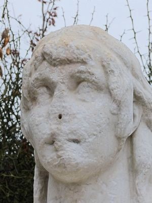 The face of Serenity. Click for full size. The face of Serenity image. Click for full size.