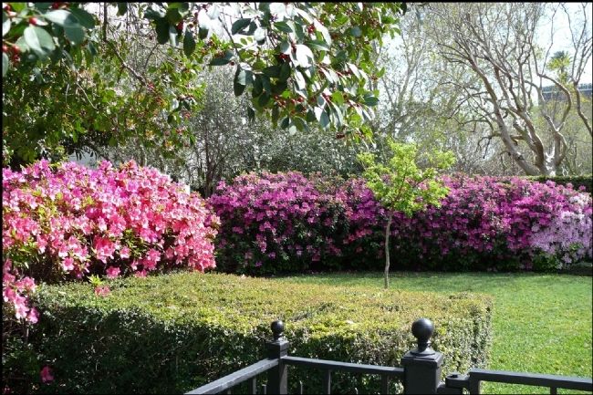 Forum of Civics of River Oaks Garden Club Grounds. Click for full size. Forum of Civics of River Oaks Garden Club Grounds image. Click for full size.