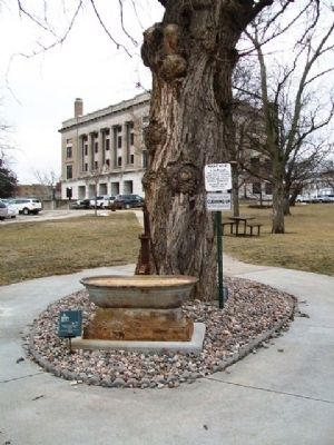 Jackson County Courthouse Horse Water Trough and Marker. Click for full size. Jackson County Courthouse Horse Water Trough and Marker image. Click for full size.