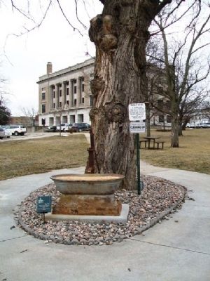 Jackson County Courthouse Horse Water Trough and Marker image. Click for full size.