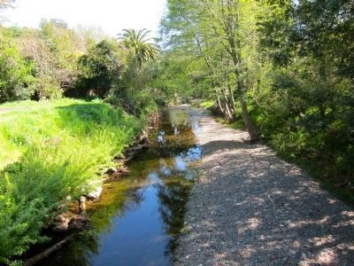 Corte Madera Creek - Looking South from Bridge image. Click for full size.
