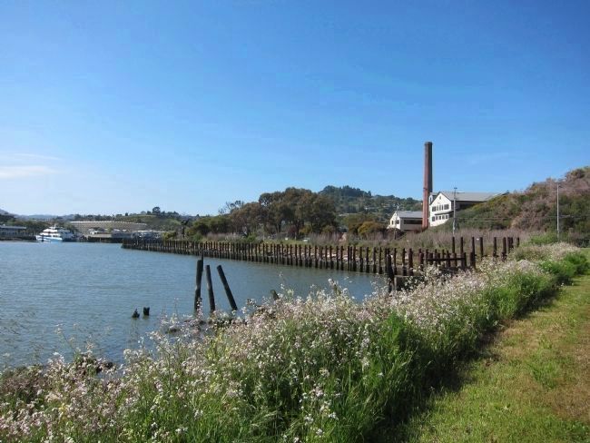 Shoreline of Remillard Park - Looking West image. Click for full size.