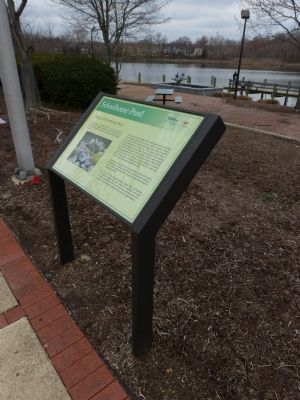 History of Schoolhouse Pond Marker image. Click for full size.
