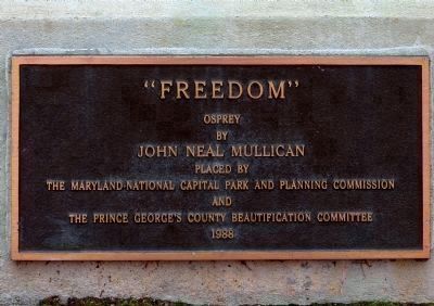 Freedom Plaque image. Click for full size.