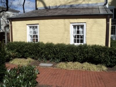 English Boxwood Plants Marker. Click for full size. English Boxwood Plants Marker image. Click for full size.