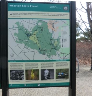 Wharton State Forest Marker image. Click for full size.
