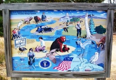 A Brief History of the Growth of the National Wildlife Refuge System Marker. Click for full size. A Brief History of the Growth of the National Wildlife Refuge System Marker image. Click for full size.