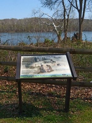 American Indians of the Potomac River Marker image. Click for full size.