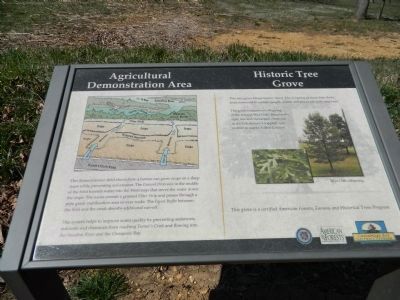 Agricultural Demonstration Area / Historic Tree Grove Marker image. Click for full size.