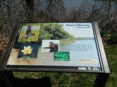 Natural Diversity at Turner's Creek Marker image. Click for full size.