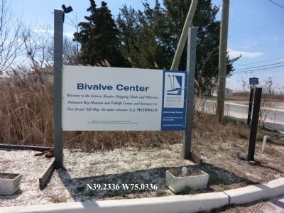 Bivalve Center. Click for full size. Bivalve Center image. Click for full size.