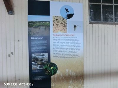 Ecology in the Watershed Marker. Click for full size. Ecology in the Watershed Marker image. Click for full size.