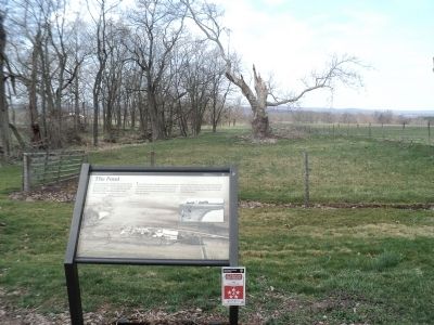 The Pond Marker. Click for full size. The Pond Marker image. Click for full size.