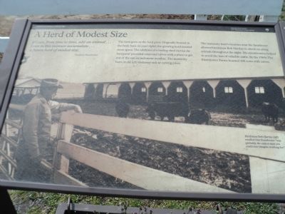 A Herd of Modest Size Marker. Click for full size. A Herd of Modest Size Marker image. Click for full size.