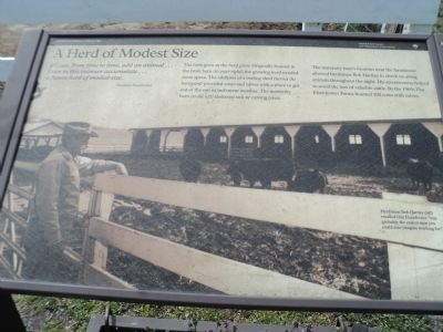 A Herd of Modest Size Marker image. Click for full size.