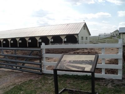 A Herd of Modest Size Marker. Click for full size. A Herd of Modest Size Marker image. Click for full size.