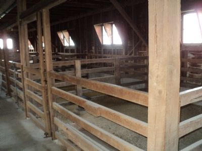 Inside the Show Barn. Click for full size. Inside the Show Barn image. Click for full size.