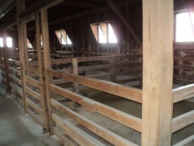 Inside the Show Barn image. Click for full size.