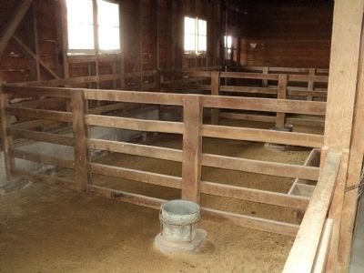 Inside the Show Barn. Click for full size. Inside the Show Barn image. Click for full size.