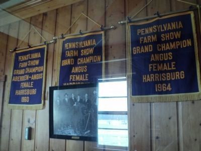 Eisenhower Cattle Awards. Click for full size. Eisenhower Cattle Awards image. Click for full size.