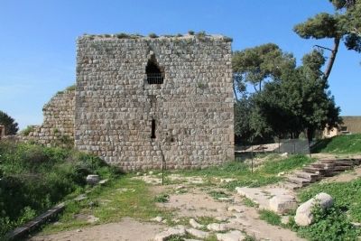 The Roman Cardo. Click for full size. The Roman Cardo image. Click for full size.