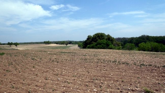 Battlefield view. Hondo Creek is at the treeline on the right. image. Click for full size.