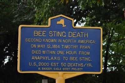 Bee Sting Death Marker image. Click for full size.