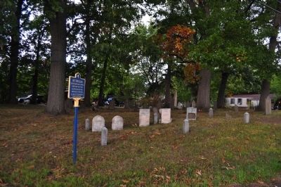 Bee Sting Death Marker in situ image. Click for full size.