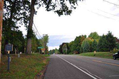 Bee Sting Death Marker as seen facing north on 21 image. Click for full size.