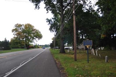 Bee Sting Death Marker as seen facing south on 21 image. Click for full size.